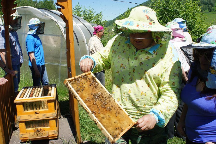 Алтай+Бурятия, концерт «Балет на Байкале»