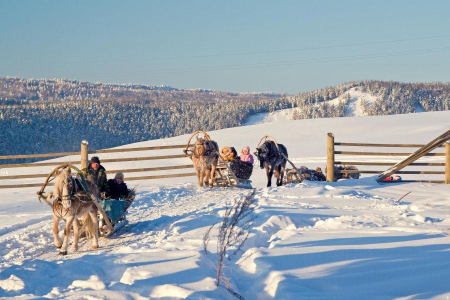 Зимнее конное путешествие по Уралу