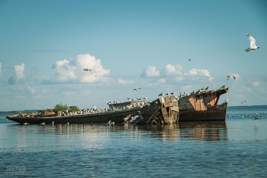 Отдых на ПСКОВском море / 4 дня