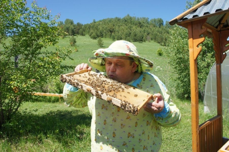 Здравствуй, Алтай!