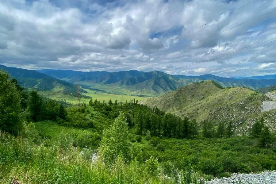 "Алтайский букет", тур выходного дня из Барнаула