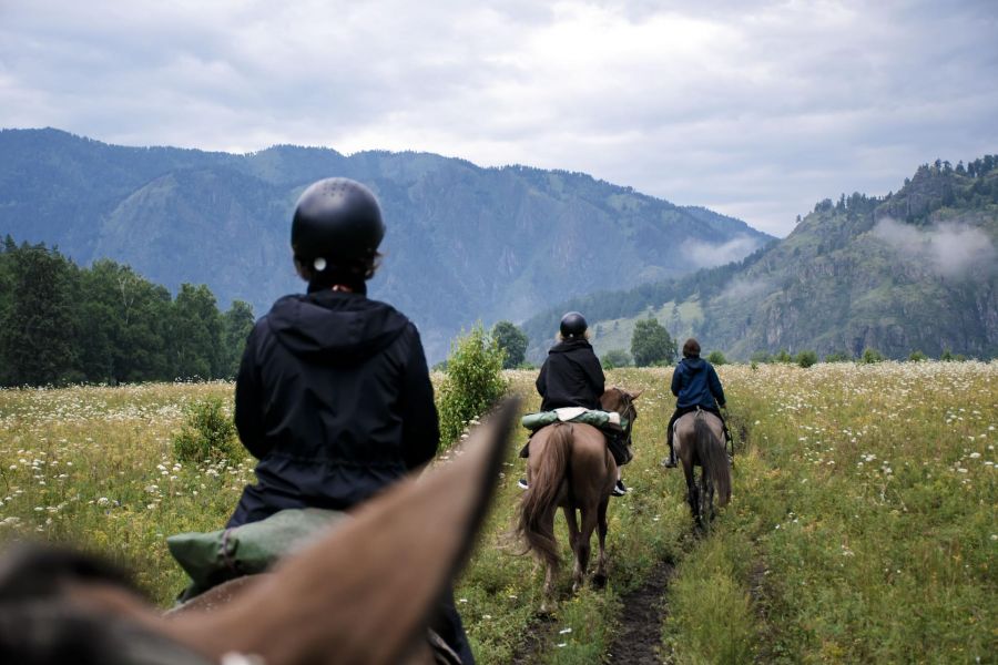 Актив-тур по Алтаю: конные прогулки, трекинг, Чуйский тракт!