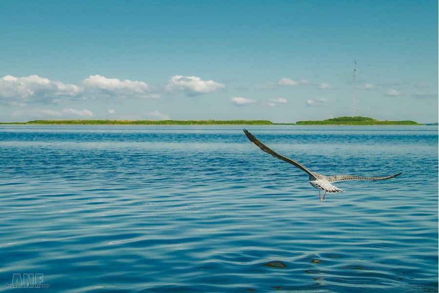 Отдых на ПСКОВском море / 8 дней