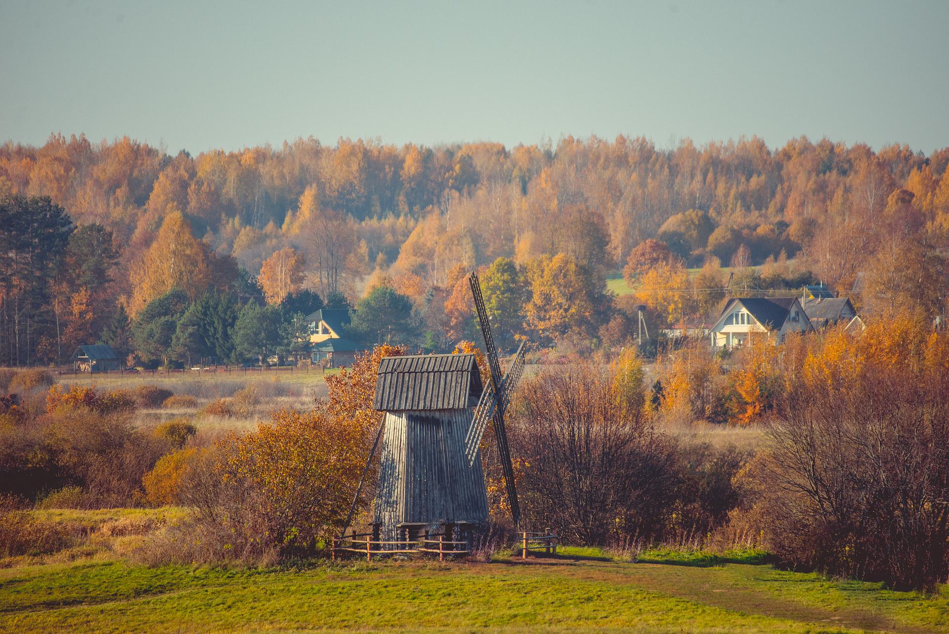 усадьбы в пушкинских горах