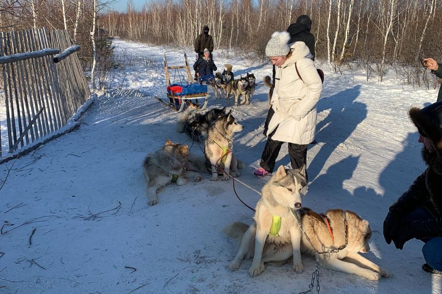 Новогодний тур в Казахстан (Боровое) из Тюмени