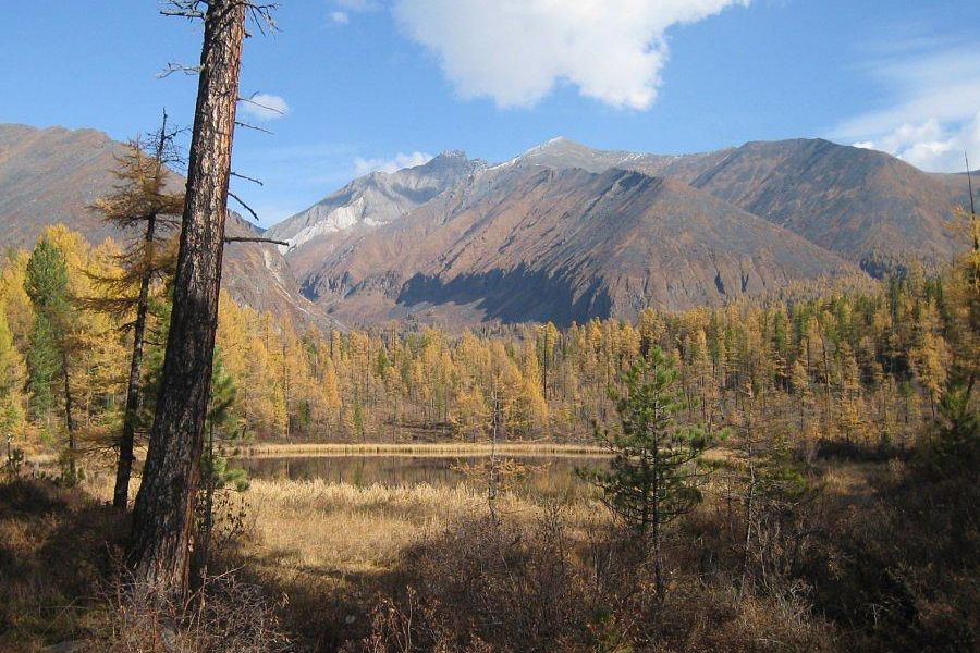 Походы в горы на Шумак и отдых на Байкале