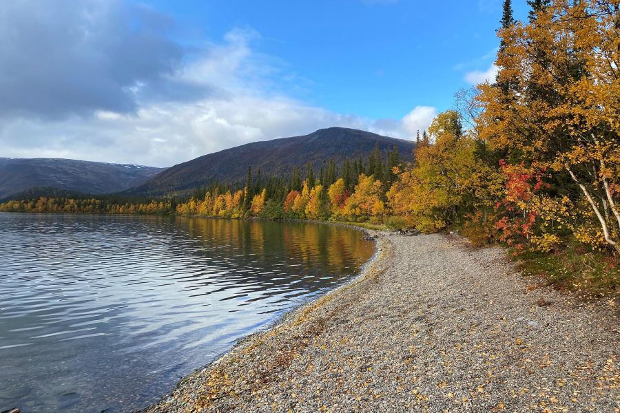 Большой Кольский: Мурманск + Териберка + Ловозеро + этнодеревня и Кировск 🌞🍁 (июнь-сентябрь)