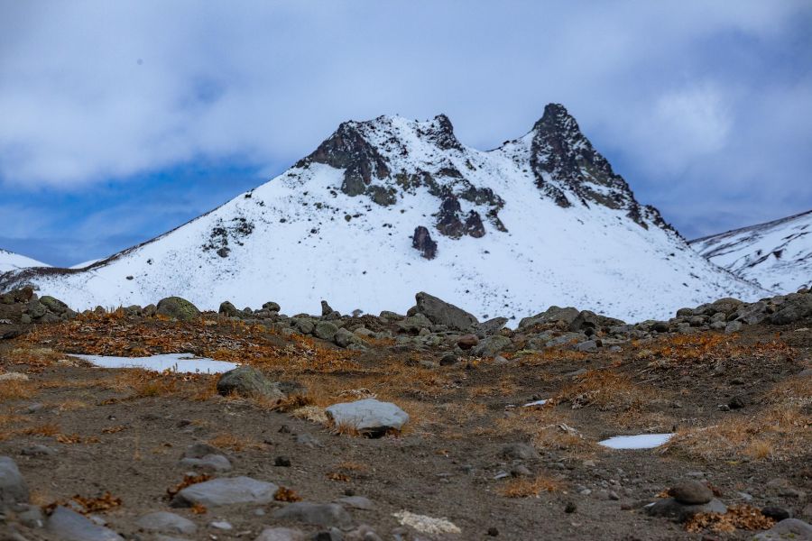 Осенняя палитра