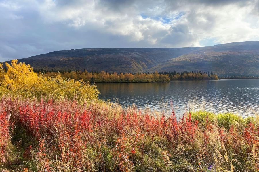 Большой Кольский: Мурманск + Териберка + Ловозеро + этнодеревня и Кировск 🌞🍁 (июнь-сентябрь)