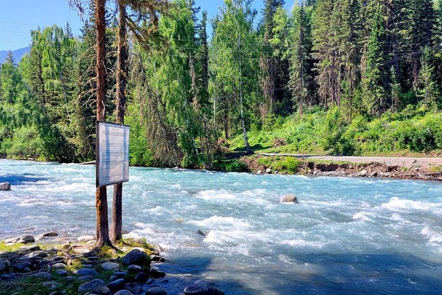 Поход на Алтай. Гора Белуха и Кучерлинские озера. Без рюкзаков.