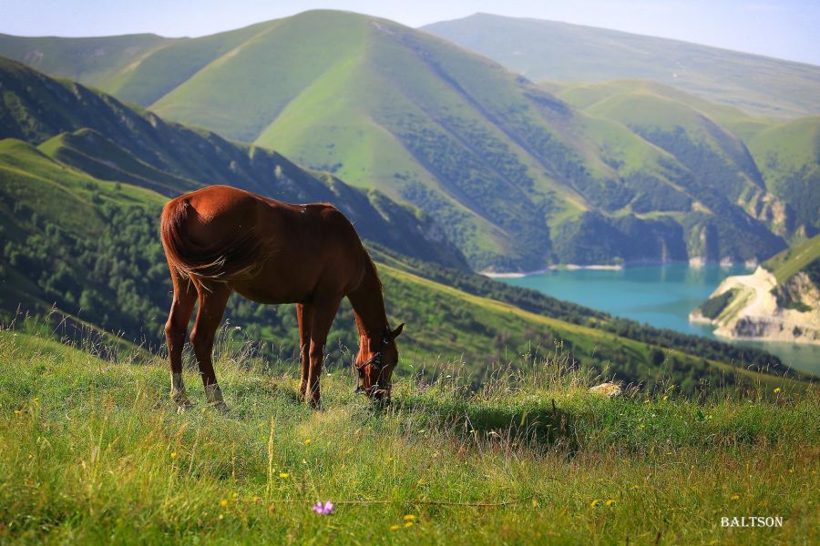 Средь гор высоких и могучих