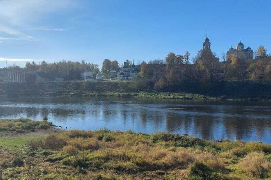 В гости к Гадюке Васильевне