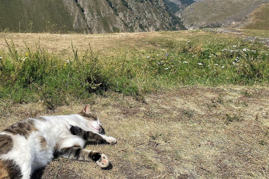 Эксклюзив! Загадочные перевалы Осетии на джипах.