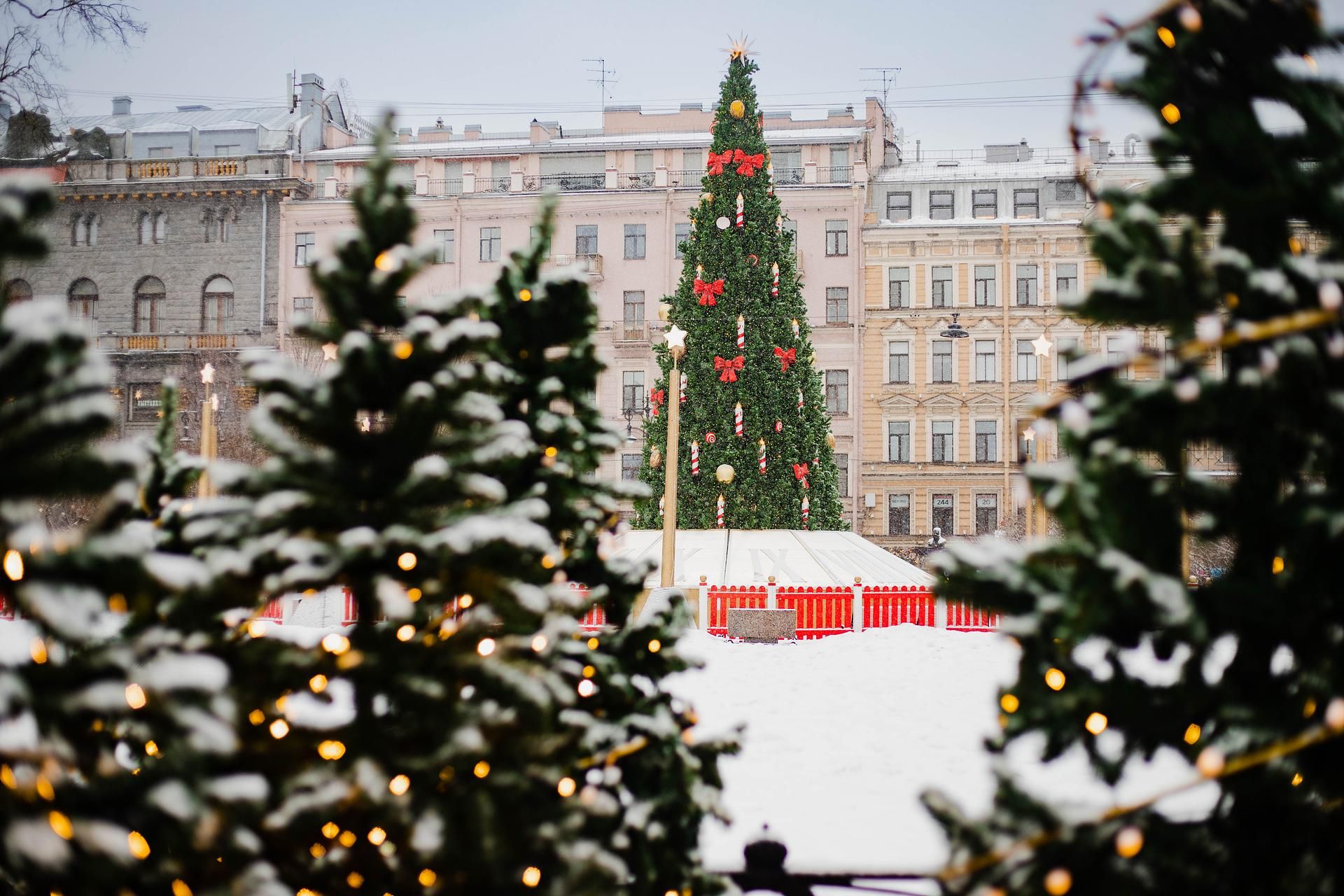 Тур «Рождество в Санкт-Петербурге и Выборге»