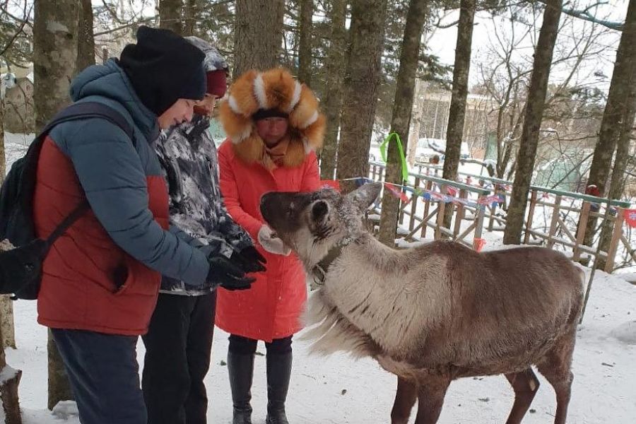 Лучшая зима на Сахалине